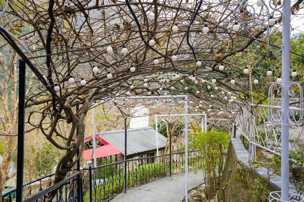 ELIVAAS Zephyr Classic Tent      Mussoorie x Solis Nature