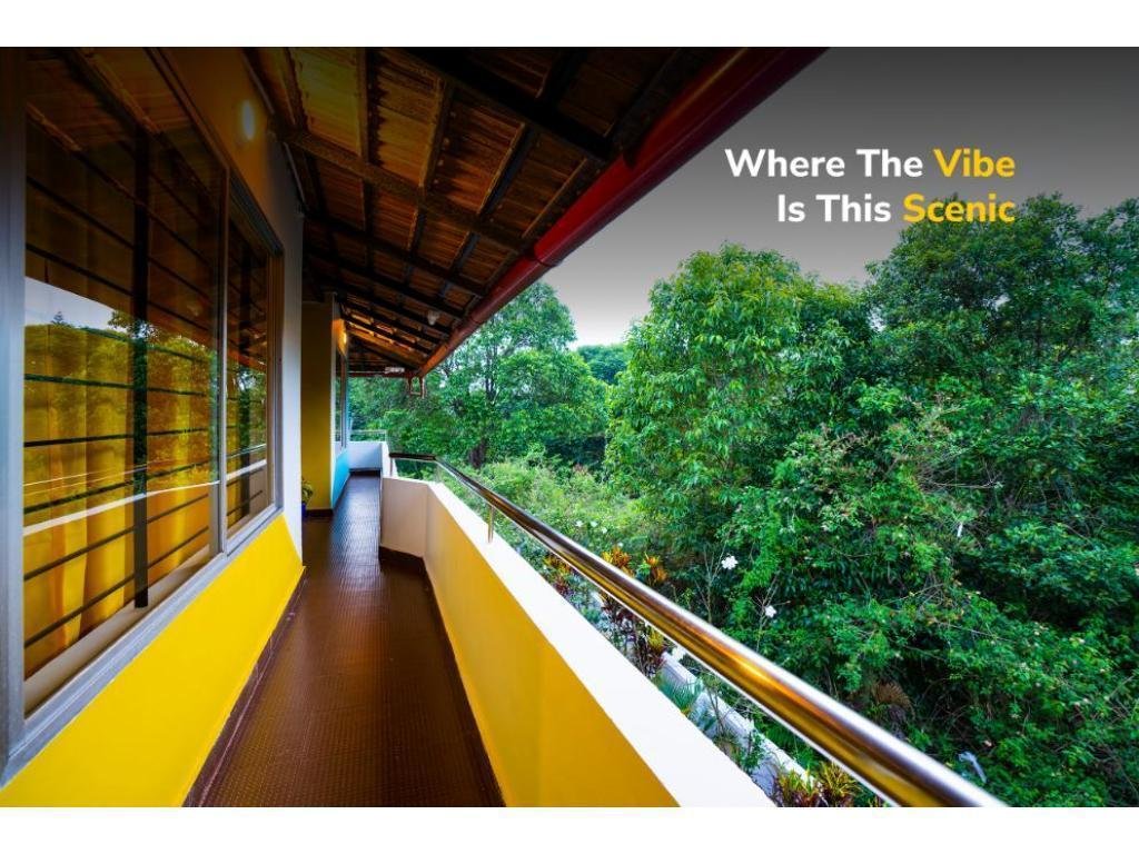 goSTOPS Coorg x Solis Nature