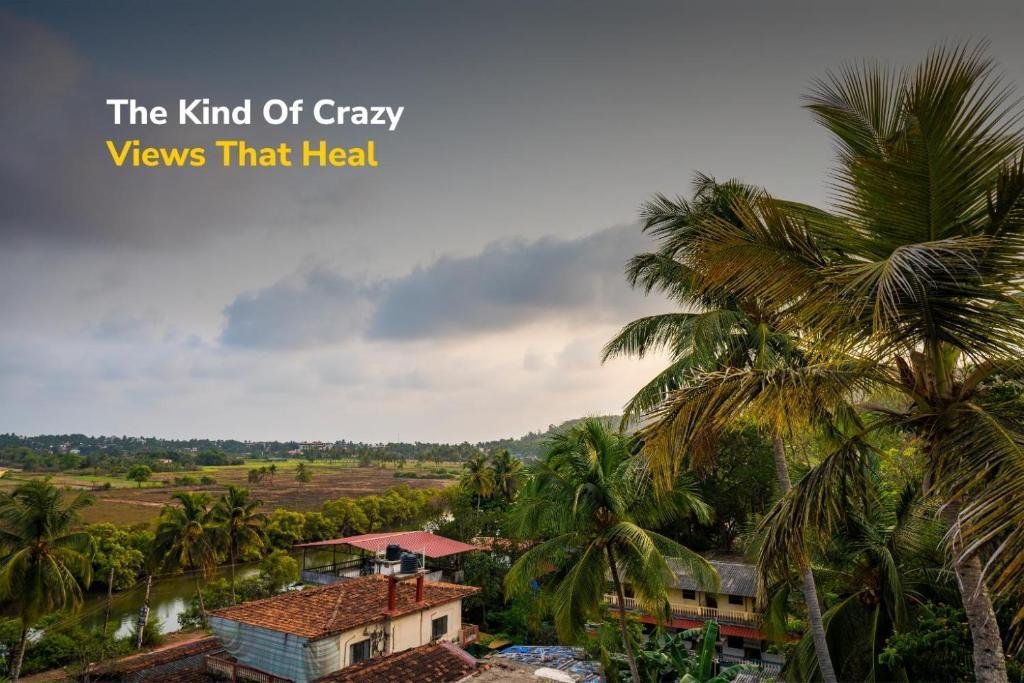 goSTOPS Goa, Baga x Solis Nature