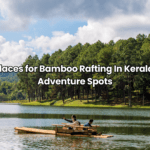 Traditional Kerala Festivals Celebrations Guide 2025
