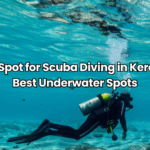 Top 10 Best Honeymoon Destinations in India For Couples