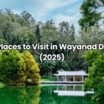 Best Places to Visit in Wayanad