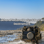 Best Places for Bamboo Rafting In Kerala: Best Adventure Spots
