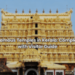 Honeymoon Places in Kerala: Top 10 Romantic Places