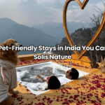 Top 10 Things to Do in Jaipur Pet-Friendly Stays in India