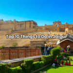 The Best Pet-Friendly Stays in India You Can Book on Solis Nature Things to Do in Jaipur