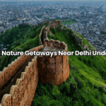 Best Hill Stations in Tamil Nadu for Couples: A Romantic Escape Above the Clouds