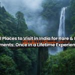 Top 8 Villas in Goa Near Beach for a Perfect Stay (2026 Guide)